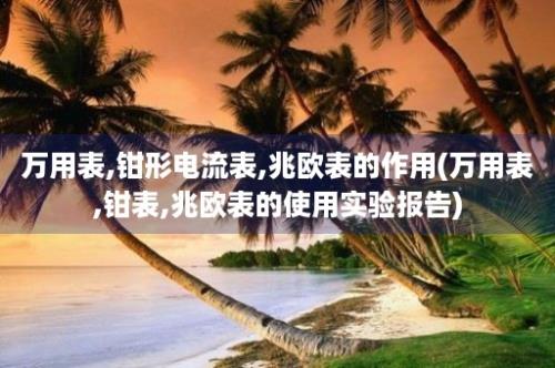 万用表,钳形电流表,兆欧表的作用(万用表,钳表,兆欧表的使用实验报告)