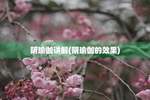 阴瑜伽讲解(阴瑜伽的效果)