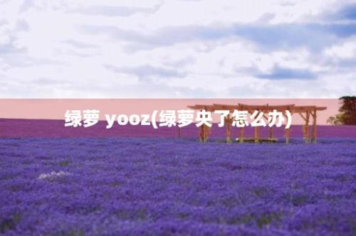 绿萝 yooz(绿萝央了怎么办)