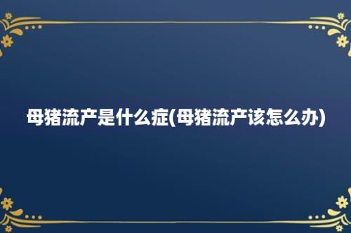 母猪流产是什么症(母猪流产该怎么办)