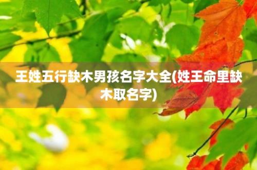 王姓五行缺木男孩名字大全(姓王命里缺木取名字)