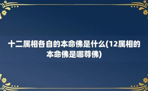 十二属相各自的本命佛是什么(12属相的本命佛是哪尊佛)