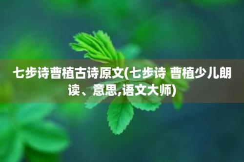 七步诗曹植古诗原文(七步诗 曹植少儿朗读、意思,语文大师)