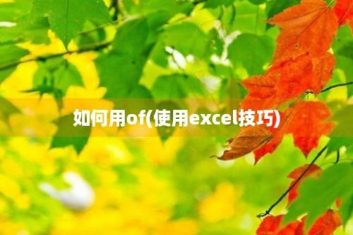 如何用of(使用excel技巧)