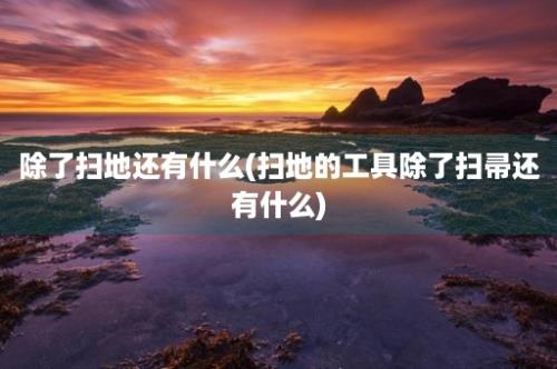 除了扫地还有什么(扫地的工具除了扫帚还有什么)