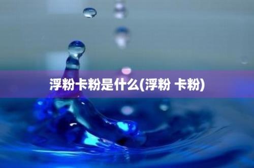 浮粉卡粉是什么(浮粉 卡粉)