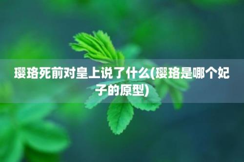 璎珞死前对皇上说了什么(璎珞是哪个妃子的原型)