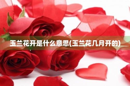 玉兰花开是什么意思(玉兰花几月开的)