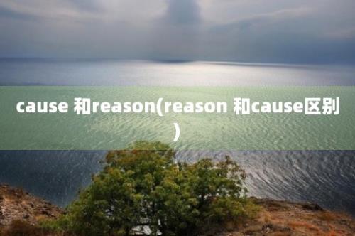 cause 和reason(reason 和cause区别)