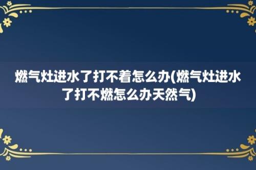 燃气灶进水了打不着怎么办(燃气灶进水了打不燃怎么办天然气)