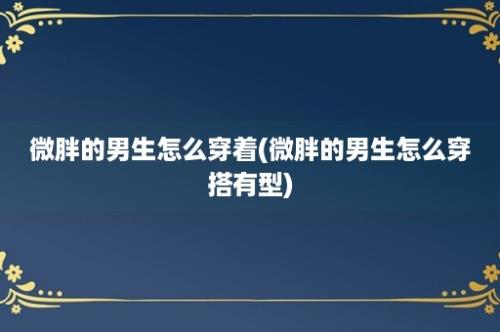 微胖的男生怎么穿着(微胖的男生怎么穿搭有型)