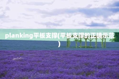 planking平板支撑(平板支撑的正确示范)