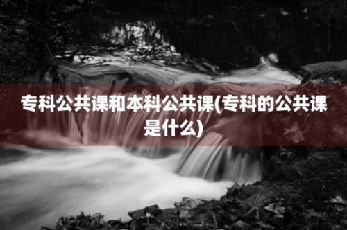 专科公共课和本科公共课(专科的公共课是什么)