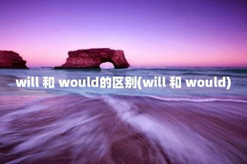 will 和 would的区别(will 和 would)