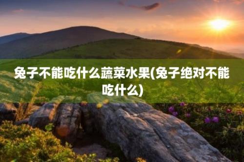 兔子不能吃什么蔬菜水果(兔子绝对不能吃什么)