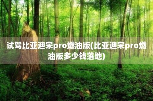 试驾比亚迪宋pro燃油版(比亚迪宋pro燃油版多少钱落地)