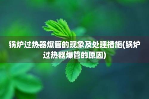 锅炉过热器爆管的现象及处理措施(锅炉过热器爆管的原因)