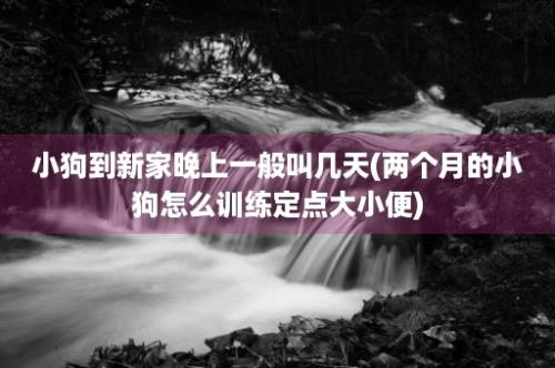 小狗到新家晚上一般叫几天(两个月的小狗怎么训练定点大小便)