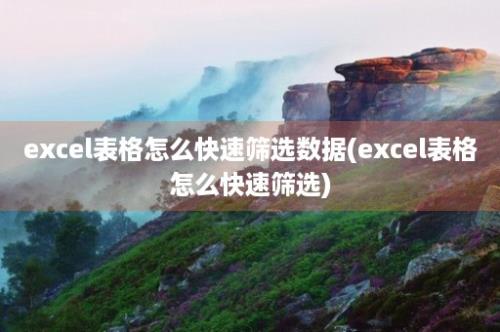 excel表格怎么快速筛选数据(excel表格怎么快速筛选)