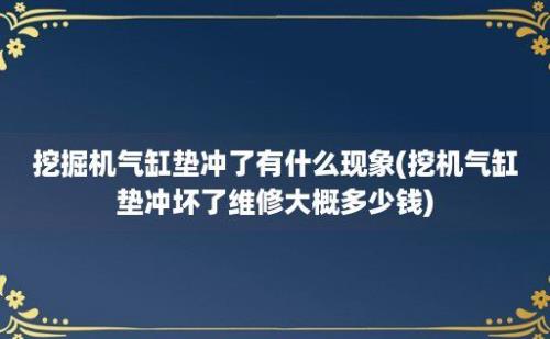 挖掘机气缸垫冲了有什么现象(挖机气缸垫冲坏了维修大概多少钱)