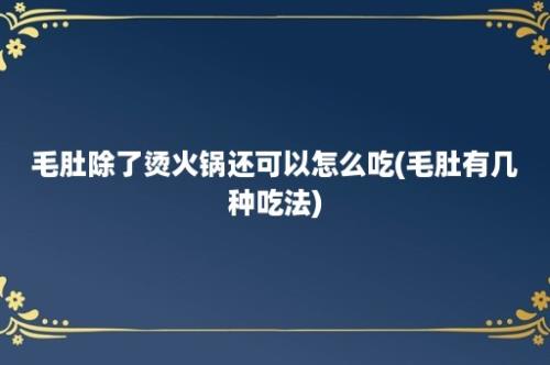 毛肚除了烫火锅还可以怎么吃(毛肚有几种吃法)