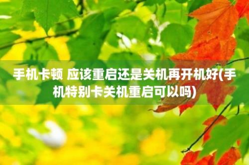 手机卡顿 应该重启还是关机再开机好(手机特别卡关机重启可以吗)