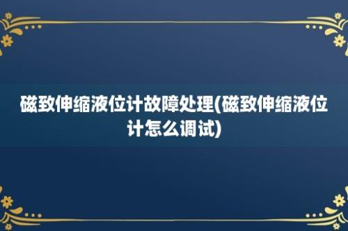 磁致伸缩液位计故障处理(磁致伸缩液位计怎么调试)