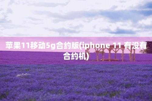 苹果11移动5g合约版(iphone 11 有没有合约机)