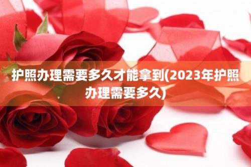 护照办理需要多久才能拿到(2023年护照办理需要多久)