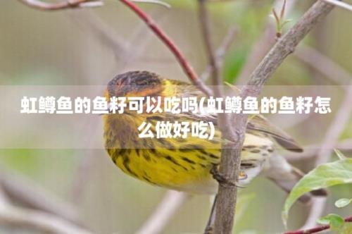 虹鳟鱼的鱼籽可以吃吗(虹鳟鱼的鱼籽怎么做好吃)