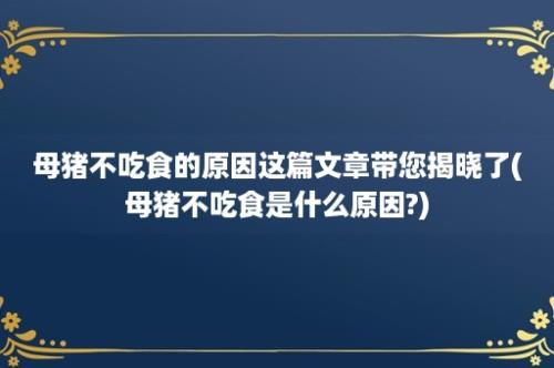 母猪不吃食的原因这篇文章带您揭晓了(母猪不吃食是什么原因?)