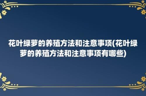 花叶绿萝的养殖方法和注意事项(花叶绿萝的养殖方法和注意事项有哪些)