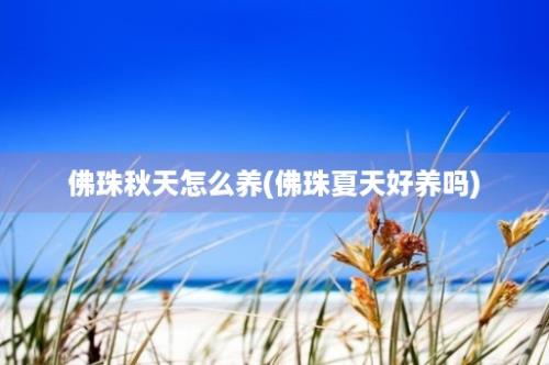 佛珠秋天怎么养(佛珠夏天好养吗)