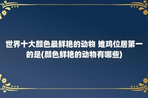 世界十大颜色最鲜艳的动物 雉鸡位居第一的是(颜色鲜艳的动物有哪些)