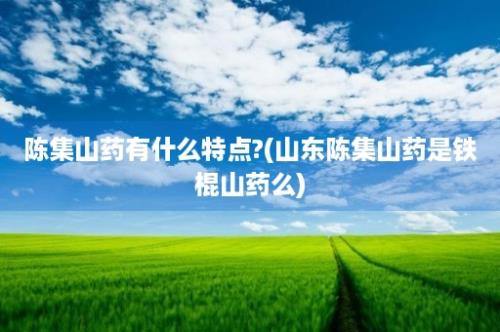 陈集山药有什么特点?(山东陈集山药是铁棍山药么)