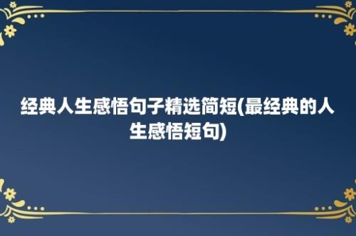 经典人生感悟句子精选简短(最经典的人生感悟短句)