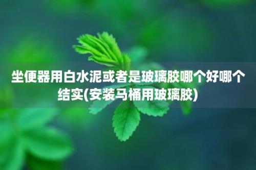 坐便器用白水泥或者是玻璃胶哪个好哪个结实(安装马桶用玻璃胶)