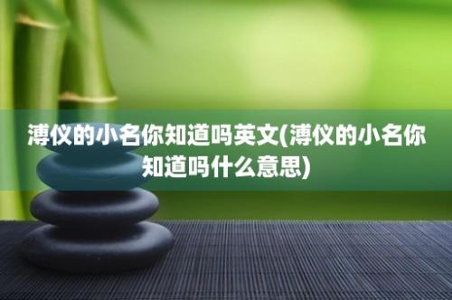 溥仪的小名你知道吗英文(溥仪的小名你知道吗什么意思)