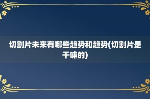 切割片未来有哪些趋势和趋势(切割片是干嘛的)