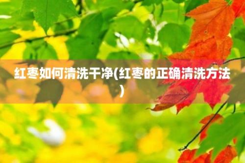 红枣如何清洗干净(红枣的正确清洗方法)