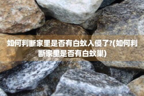 如何判断家里是否有白蚁入侵了?(如何判断家里是否有白蚁巢)