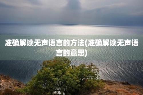 准确解读无声语言的方法(准确解读无声语言的意思)