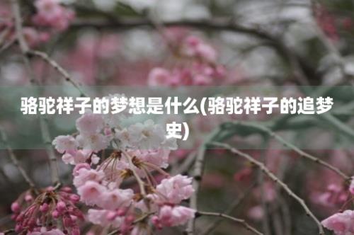 骆驼祥子的梦想是什么(骆驼祥子的追梦史)