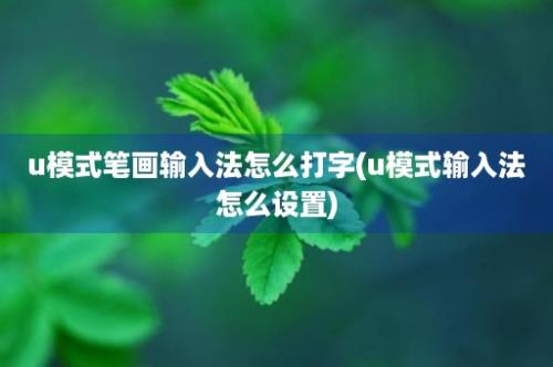 u模式笔画输入法怎么打字(u模式输入法怎么设置)