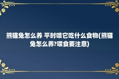 熊猫兔怎么养 平时喂它吃什么食物(熊猫兔怎么养?喂食要注意)