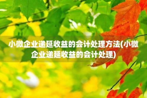 小微企业递延收益的会计处理方法(小微企业递延收益的会计处理)