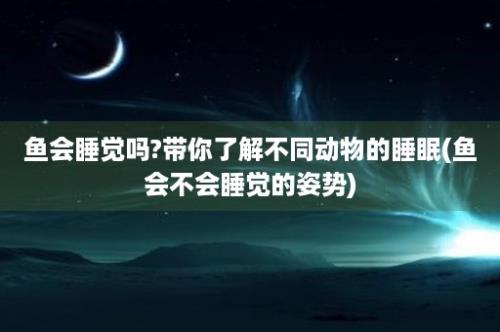 鱼会睡觉吗?带你了解不同动物的睡眠(鱼会不会睡觉的姿势)