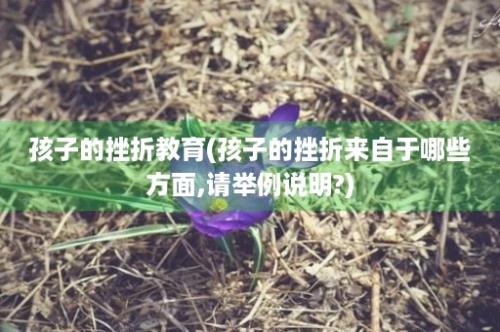 孩子的挫折教育(孩子的挫折来自于哪些方面,请举例说明?)