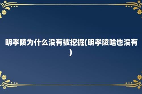 明孝陵为什么没有被挖掘(明孝陵啥也没有)