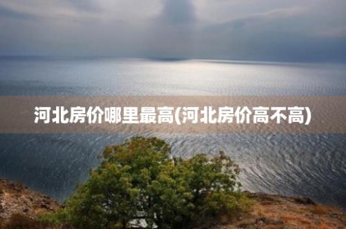 河北房价哪里最高(河北房价高不高)